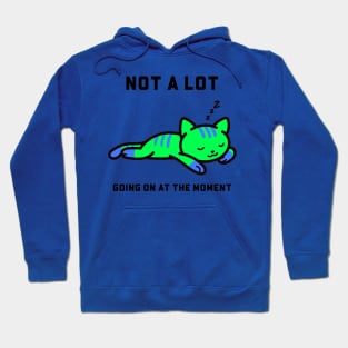 Not a lot going on at the moment cat Hoodie